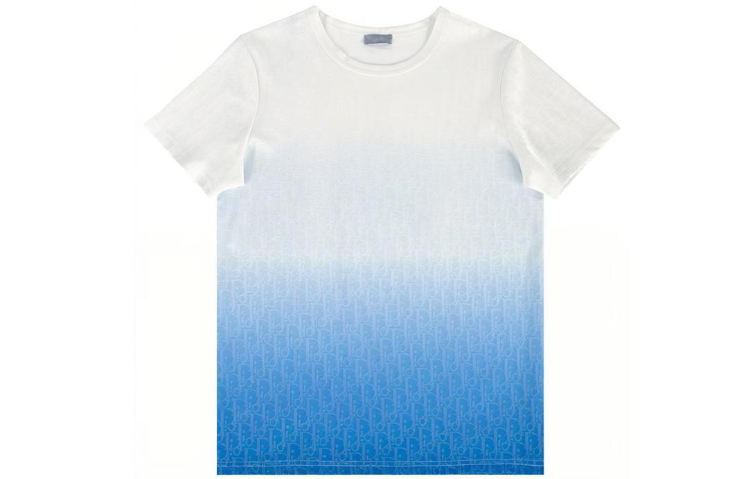 Dior Dior Degrade Oblique Cotton T Shirt