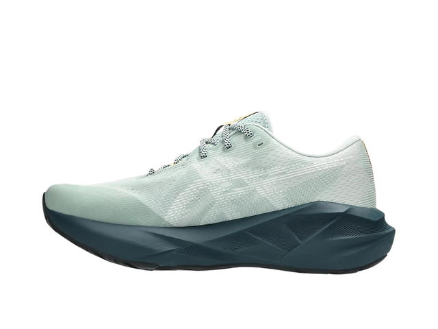Asics Asics Novablast 5 Tr Nature Bathing Lichen Rock - view 2