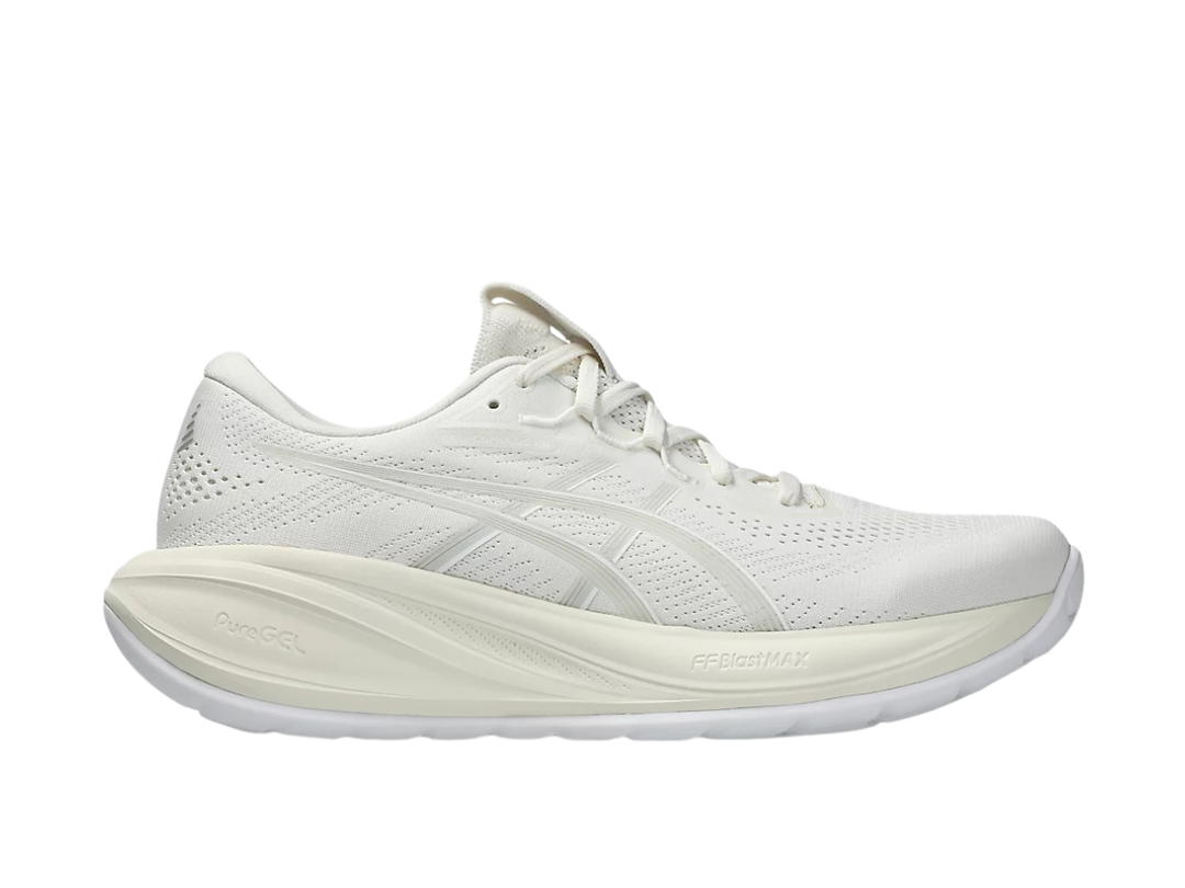 Asics Asics Gel-cumulus 28 Cream Glacier Grey