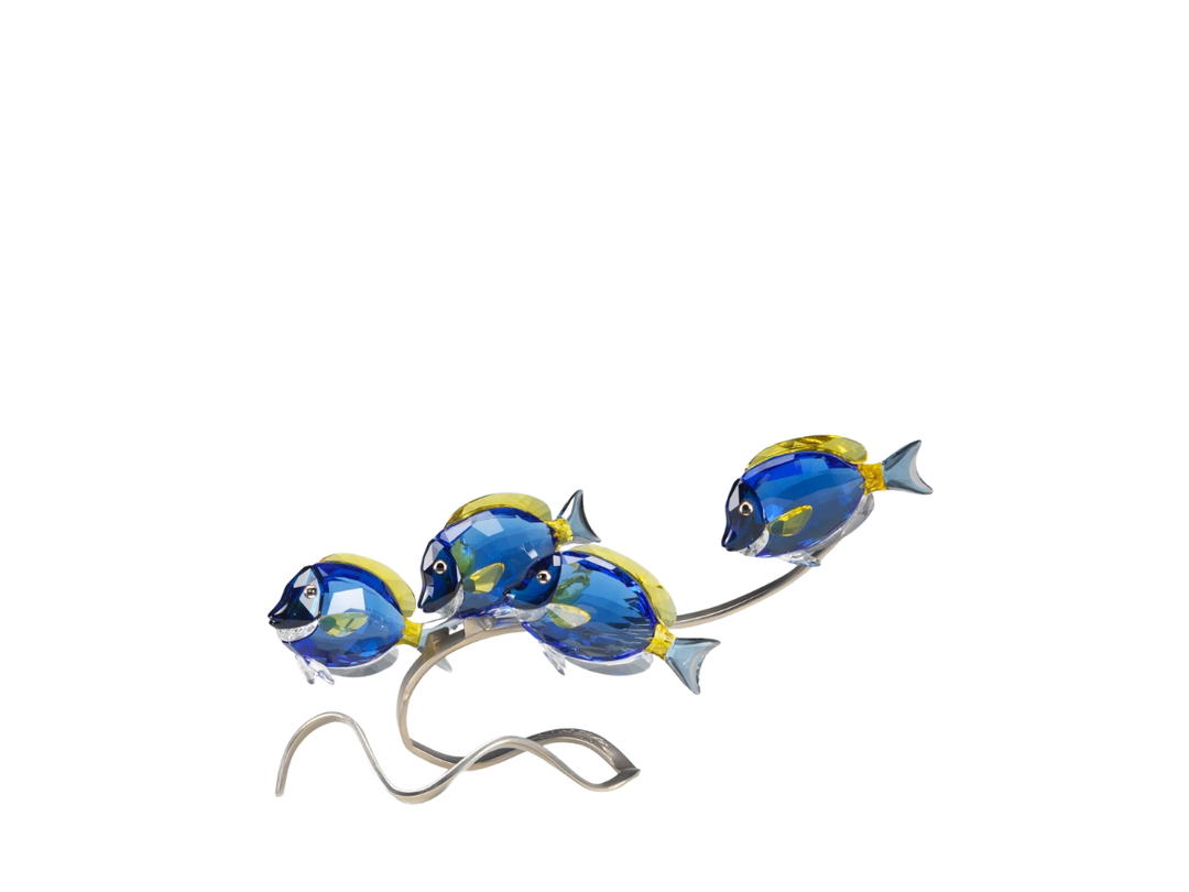 Swarovski Swarovski Crystal Paradise Fish Surgeonfish