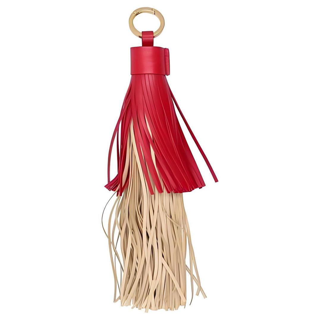 Bottega Veneta Bottega Veneta Leather Keychains Women's Red/Purple/Brown