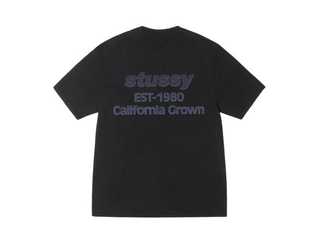Stussy Stussy California Grown Tee Pigment Dyed Black - view 1