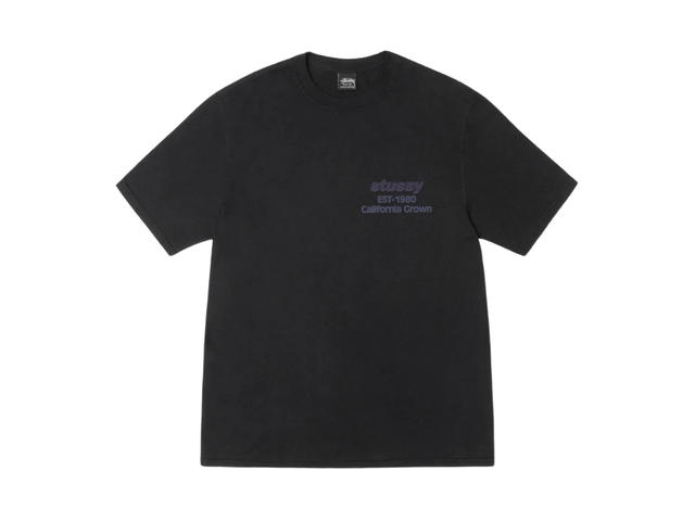 Stussy Stussy California Grown Tee Pigment Dyed Black - view 2