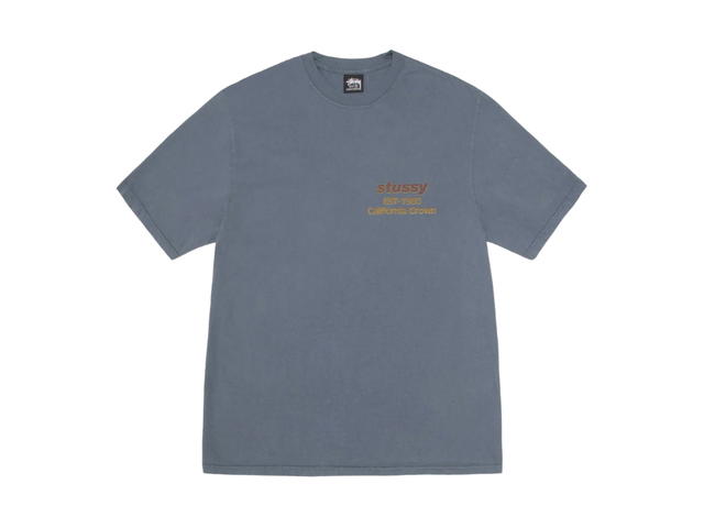 Stussy Stussy California Grown Tee Pigment Dyed Navy - view 2