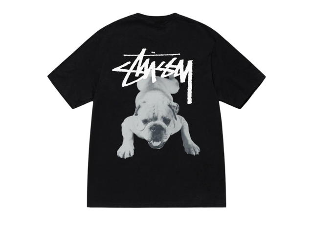 Stussy Stussy Stock Dog Tee Black - view 1