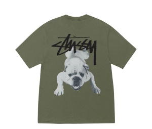 Buy Stussy Stock Dog Tee Olive at Sasom – Authentic and Ready to Ship