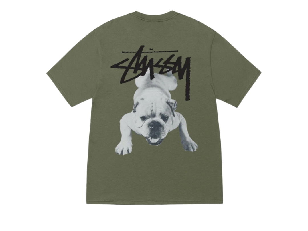 Stussy Stussy Stock Dog Tee Olive