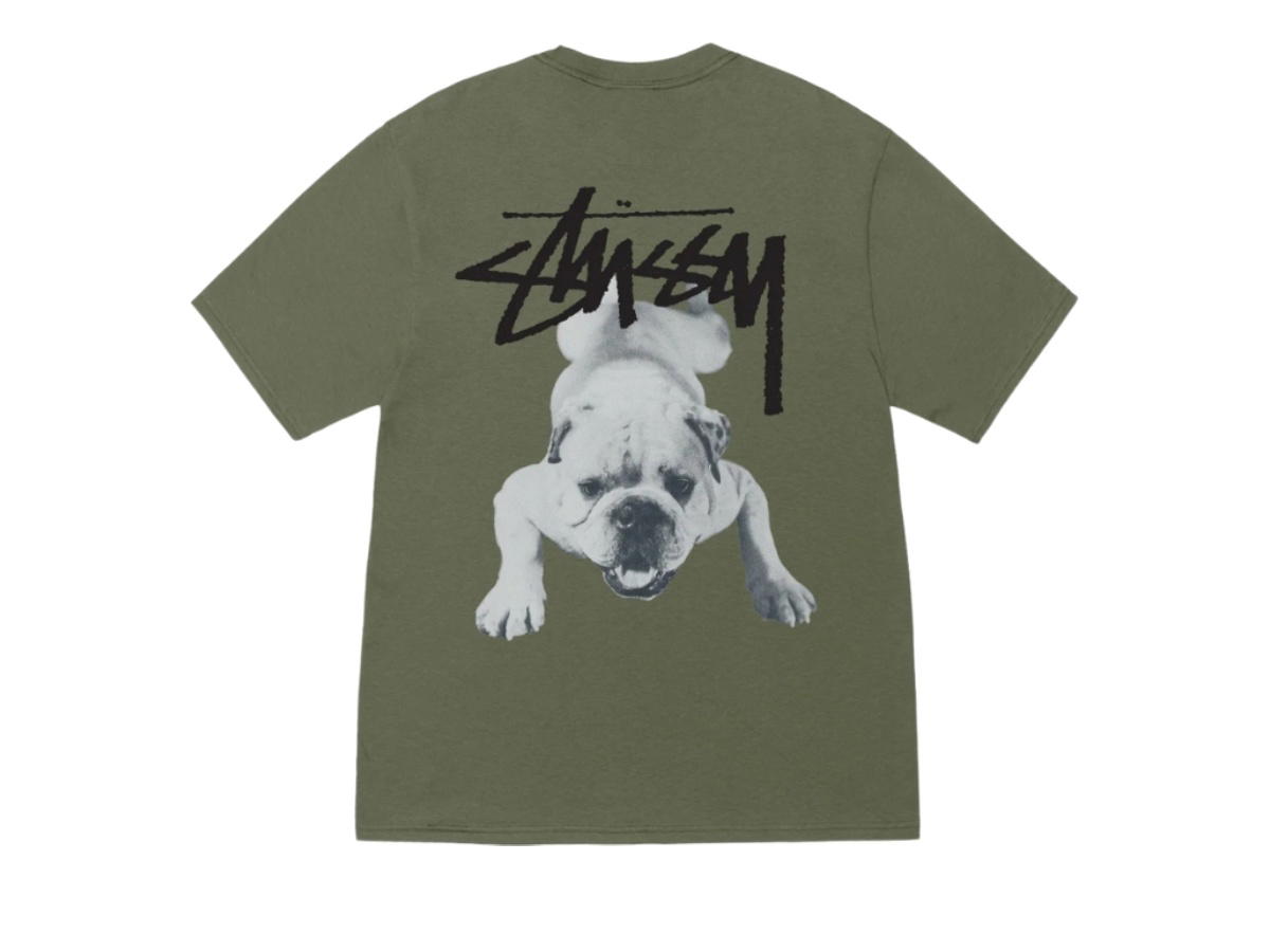 Stussy Stussy Stock Dog Tee Olive