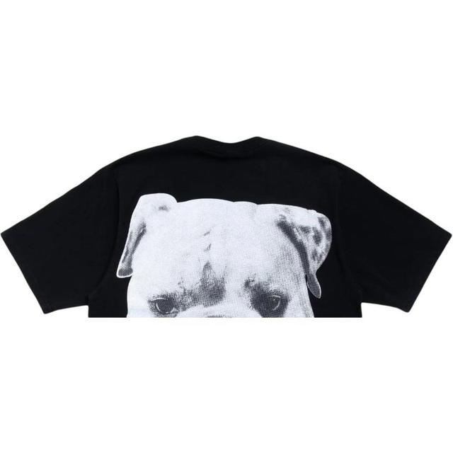 Stussy Stussy Big Dog Stone Washed Tee - Black - view 4
