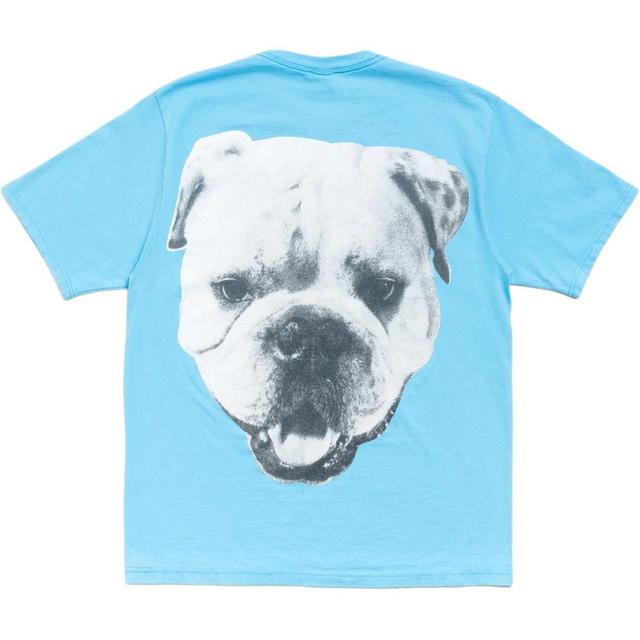 Stussy Stussy Big Dog Stone Washed Tee - Blue - view 1