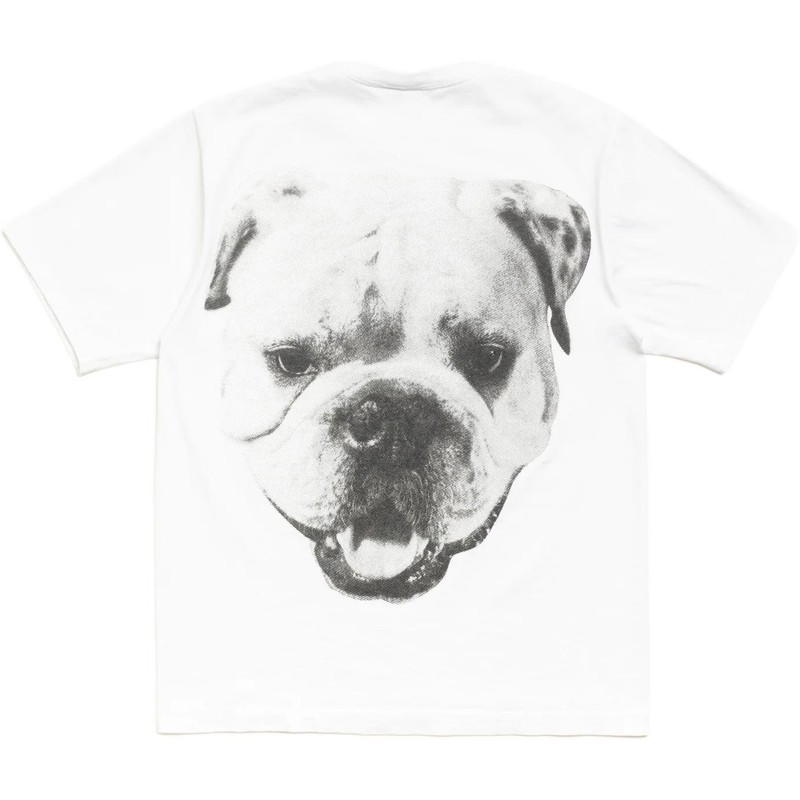 Stussy Stussy Big Dog Stone Washed Tee - Khaki