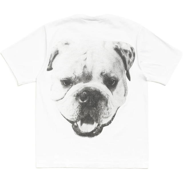 Stussy Stussy Big Dog Stone Washed Tee - Khaki - view 1