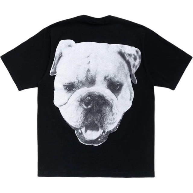 Stussy Stussy Big Dog Stone Washed Tee - Khaki - view 3