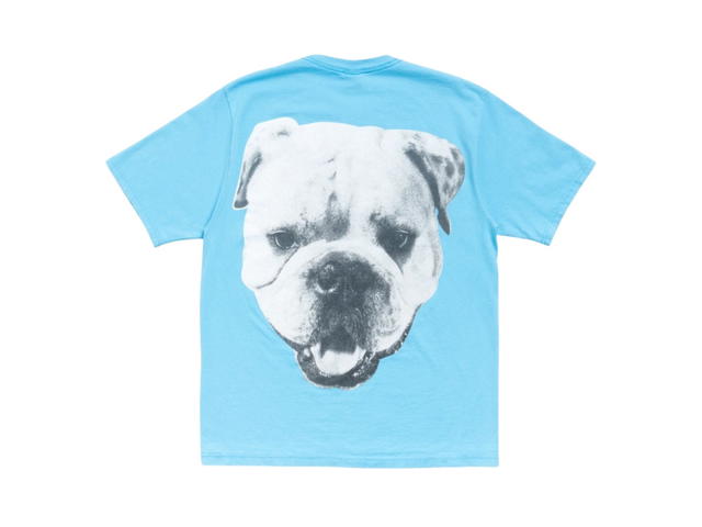 Stussy Stussy Big Dog Stone Washed Tee Sky Blue - view 2