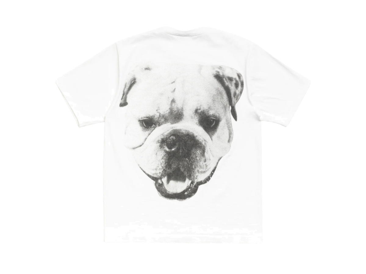 Stussy Stussy Big Dog Stone Washed Tee White