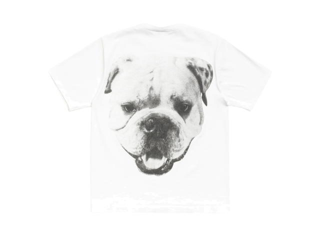 Stussy Stussy Big Dog Stone Washed Tee White - view 1