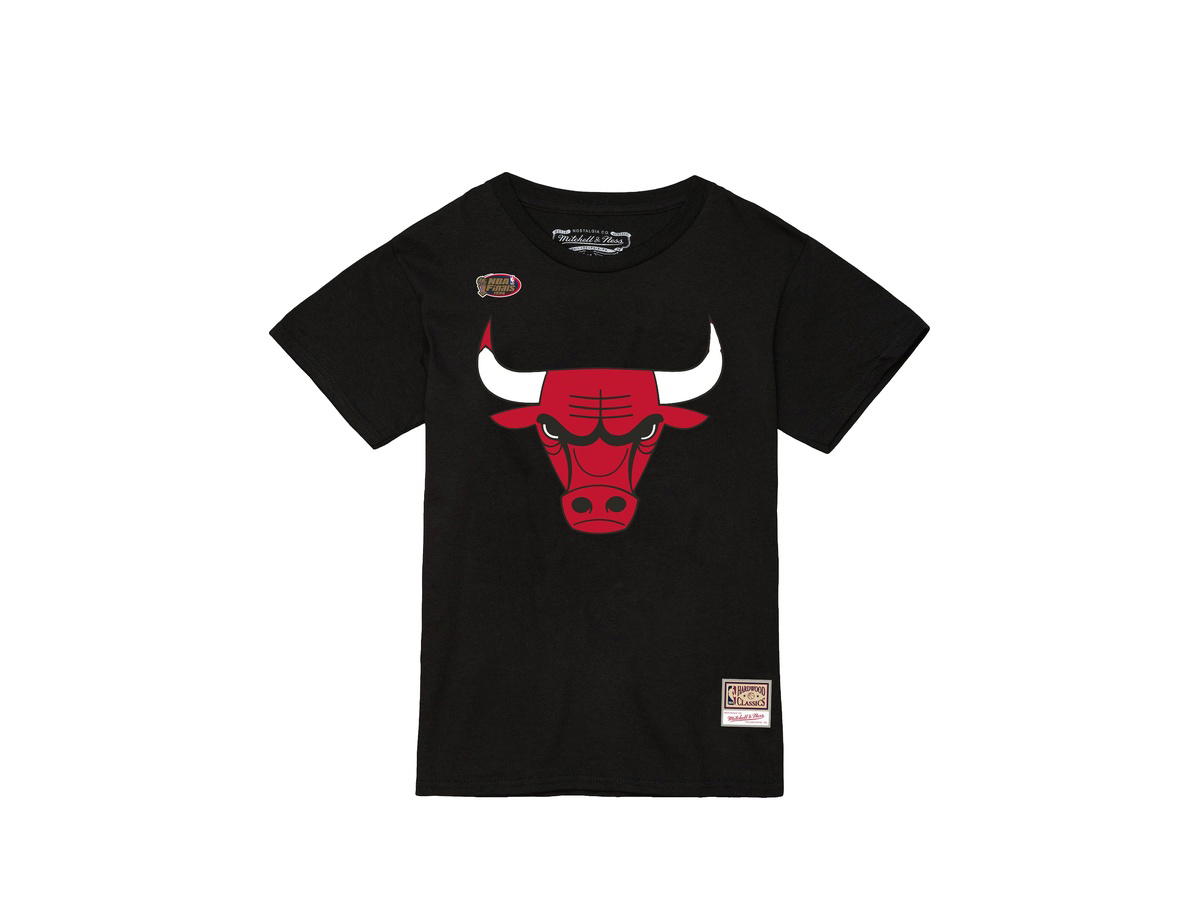 Mitchell & Ness Mitchell & Ness Team Logo T-Shirt/Basketball