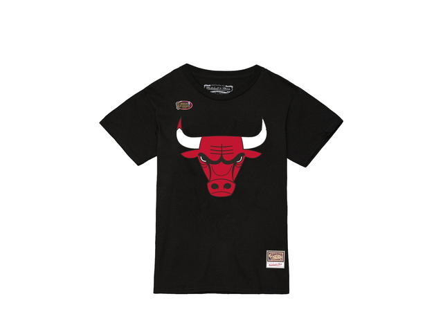 Mitchell & Ness Mitchell & Ness Team Logo T-Shirt/Basketball - view 1