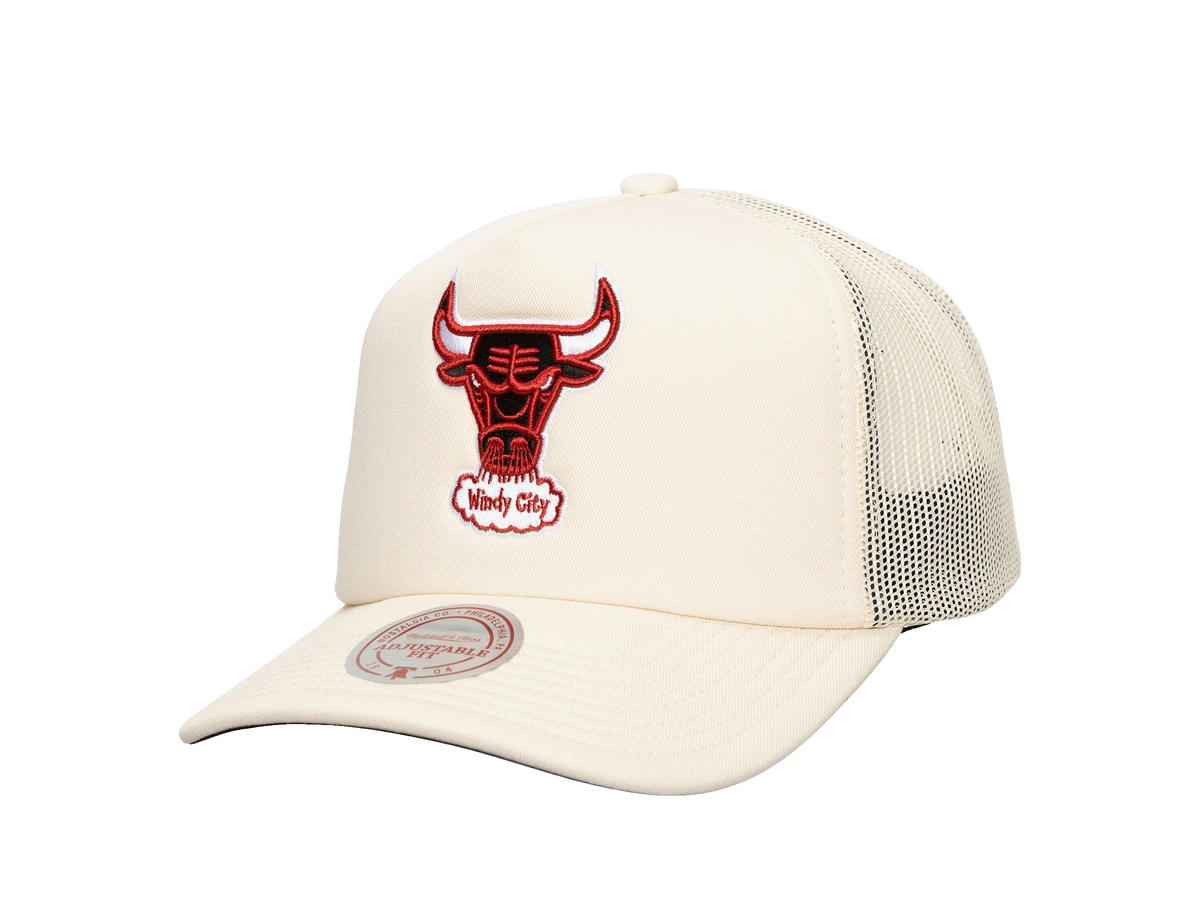 Mitchell & Ness Mitchell & Ness Chicago Bulls Evergreen Trucker Hwc