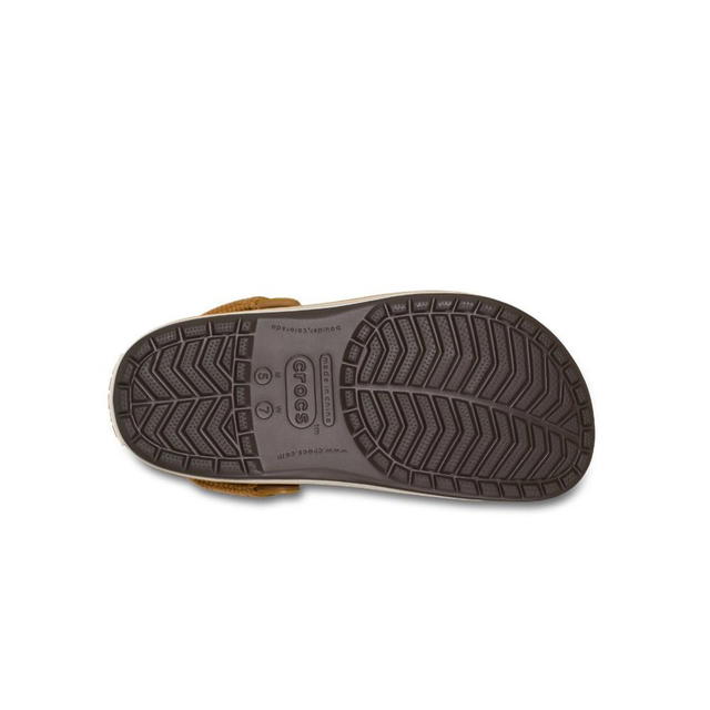 Crocs Crocs DINOTAENG Crocband Clog Multi - view 3