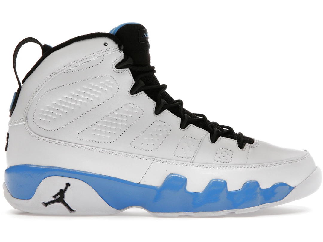 Jordan Jordan 9 Retro Powder (2010)