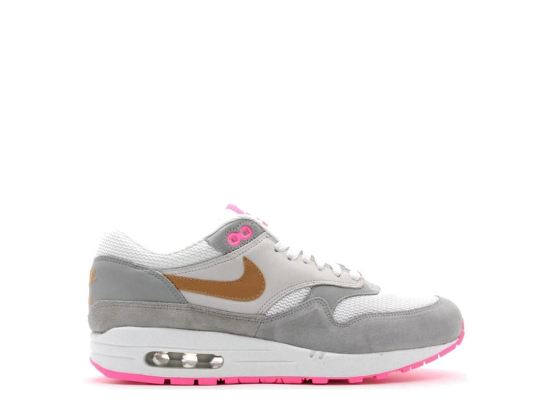 Nike Nike Air Max 1 Pink Pack Flamingo