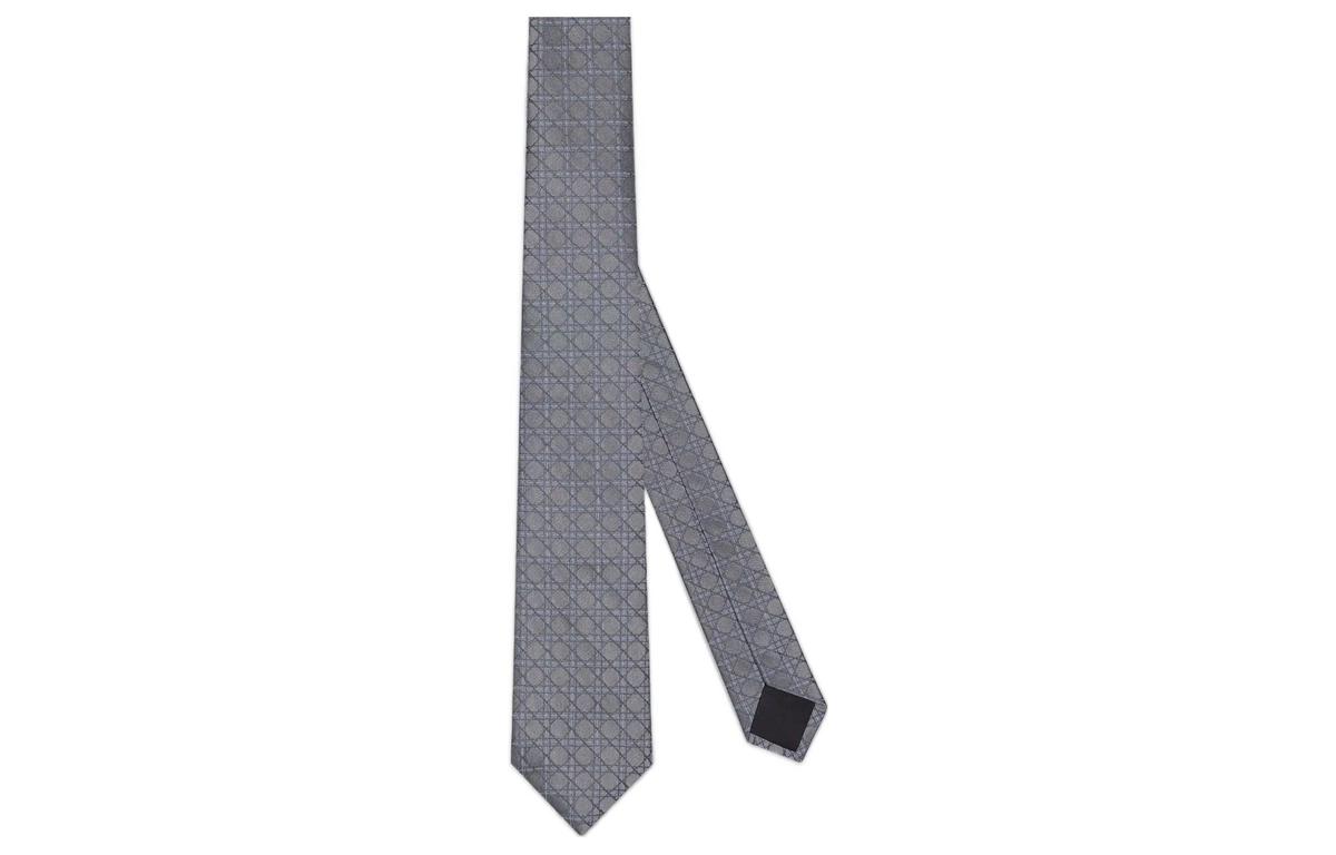 Dior Dior Ties Men Gray