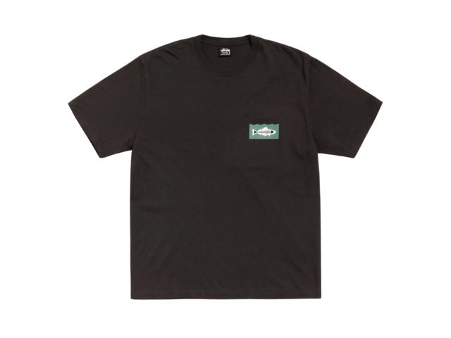 Stussy Stussy Heal The Bay 40 Tee Pigment Dyed Faded Black - view 1