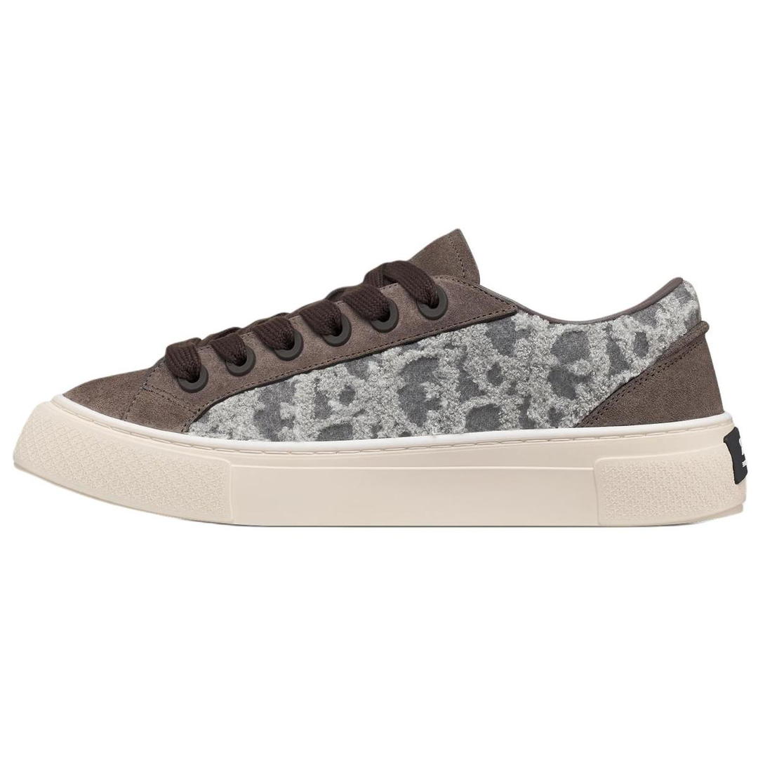 Dior Dior B33 Low-Top Skateboard Shoes Men's Gray Limited Edition Numbered Edition