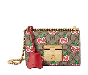 Buy Gucci Canvas With Leather Box Bag Crossbody Bag Shoulder Bag Women's Ebony & Red at Sasom – Authentic and Ready to Ship