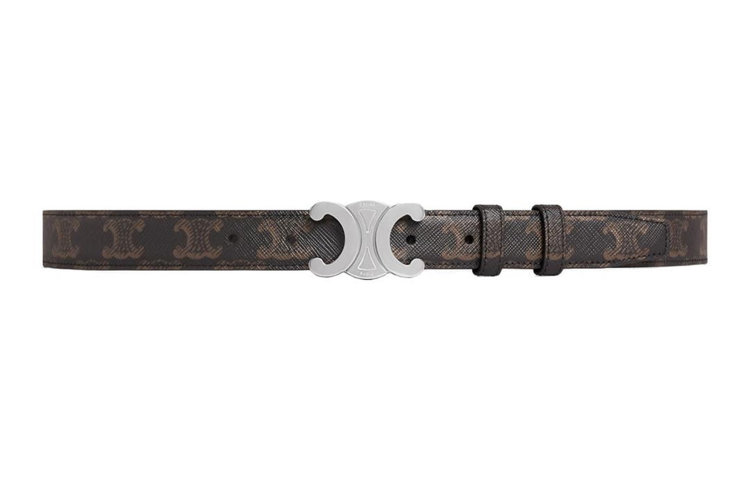 Celine Celine Medium Triomphe Belt In Triomphe Canvas