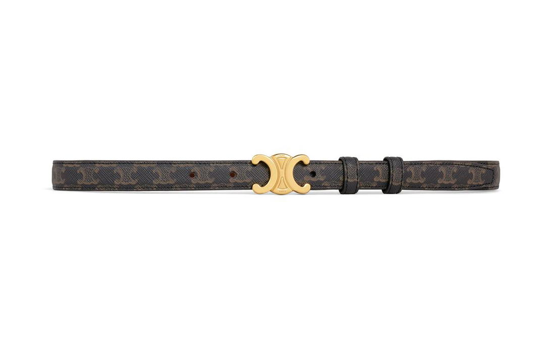 Celine Celine Small Triomphe Belt In Triomphe Canvas