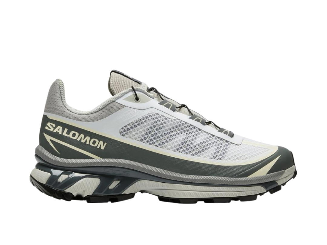 Salomon Salomon XT-6 FT Gray Violet