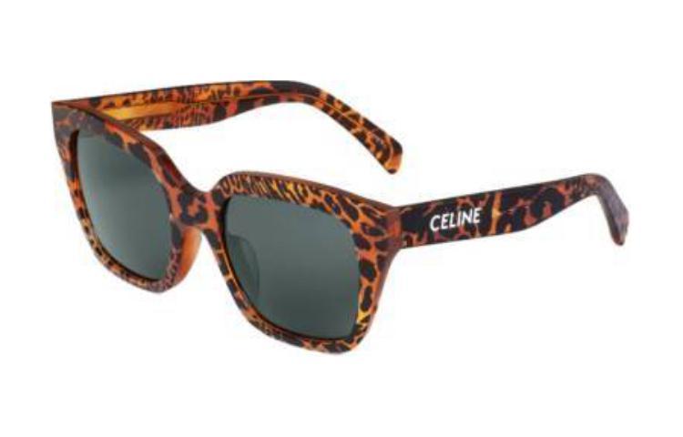 Celine Celine Monochroms 03 Sunglasses In Acetate