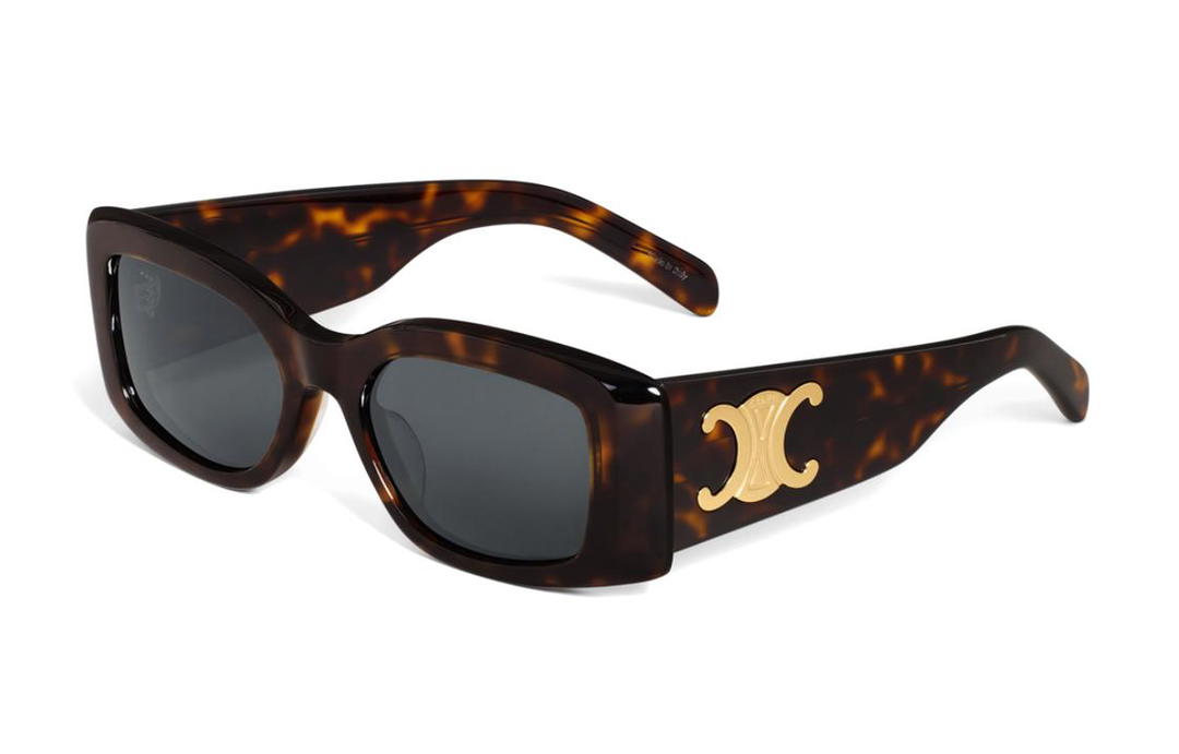 Celine Celine Triomphe Xl 01 Sunglasses In Acetate