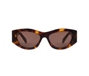 Celine Triomphe 15 Sunglasses In Acetate With Brown Lenses