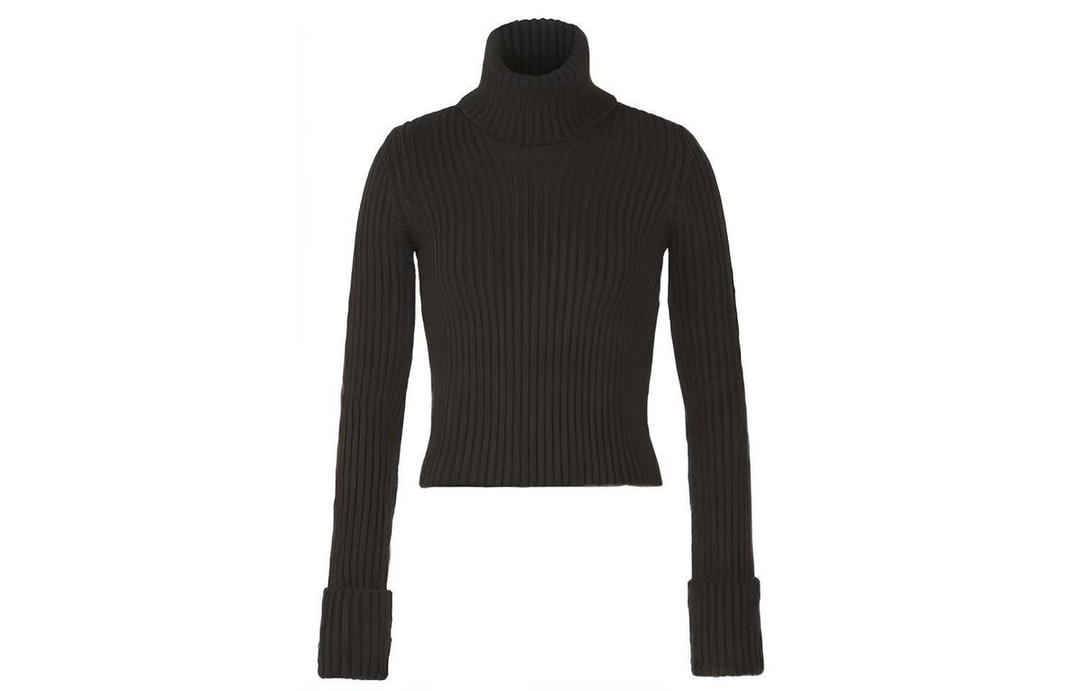 Bottega Veneta Bottega Veneta Rib Knit Turtleneck Jumper