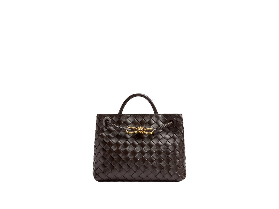 Bottega Veneta Bottega Veneta Small Andiamo Fondant