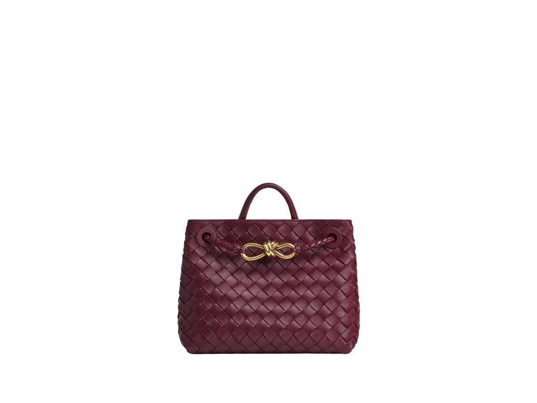 Bottega Veneta Bottega Veneta Small Andiamo Barolo