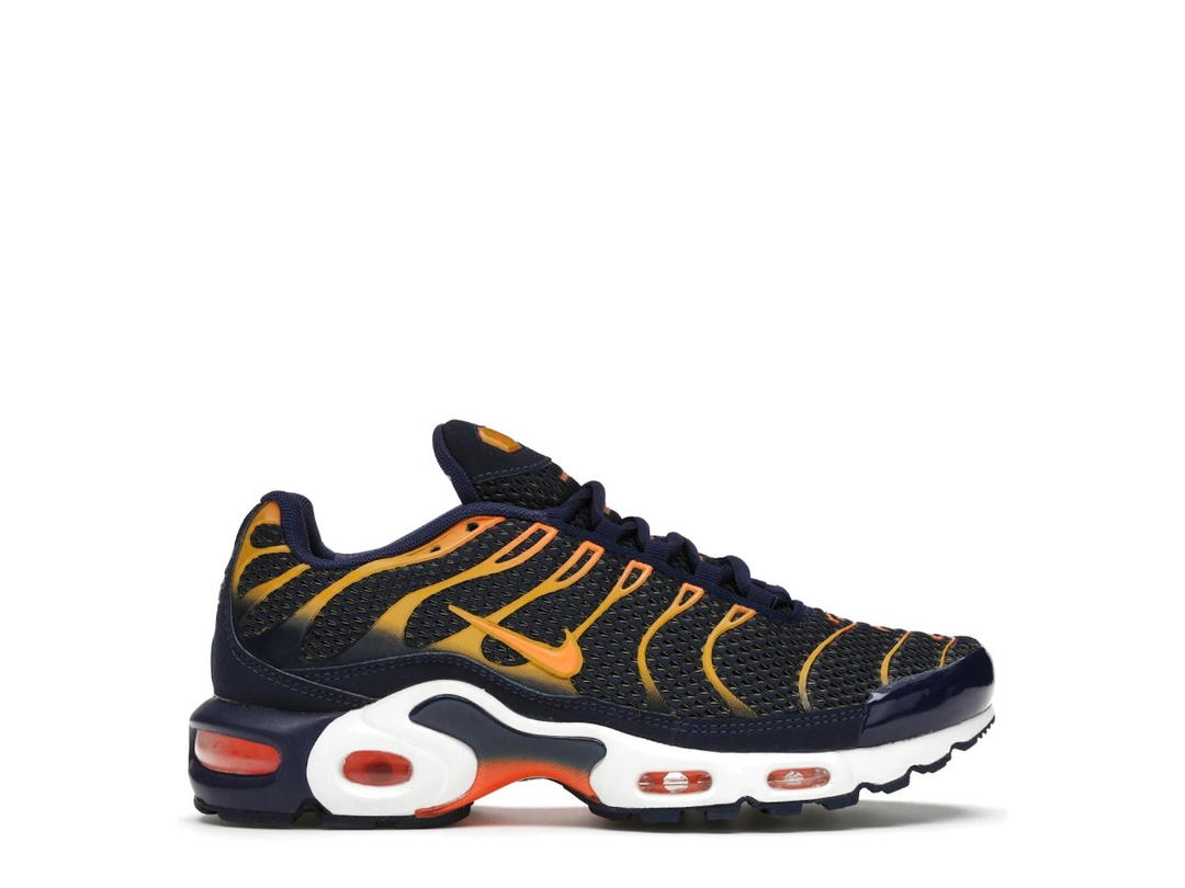 Nike Nike Air Max Plus Blue Void University Gold