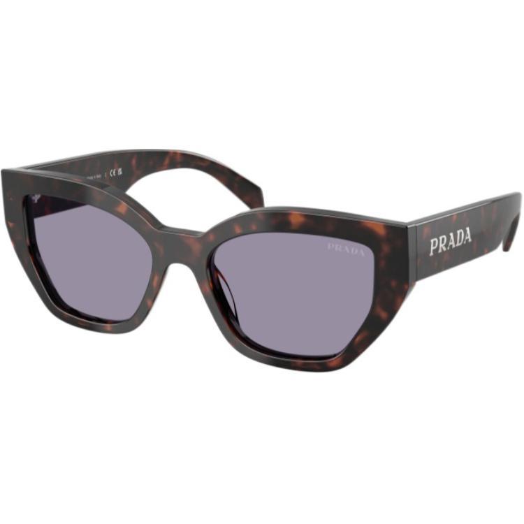 Prada Prada Butterfly Frame Sunglasses
