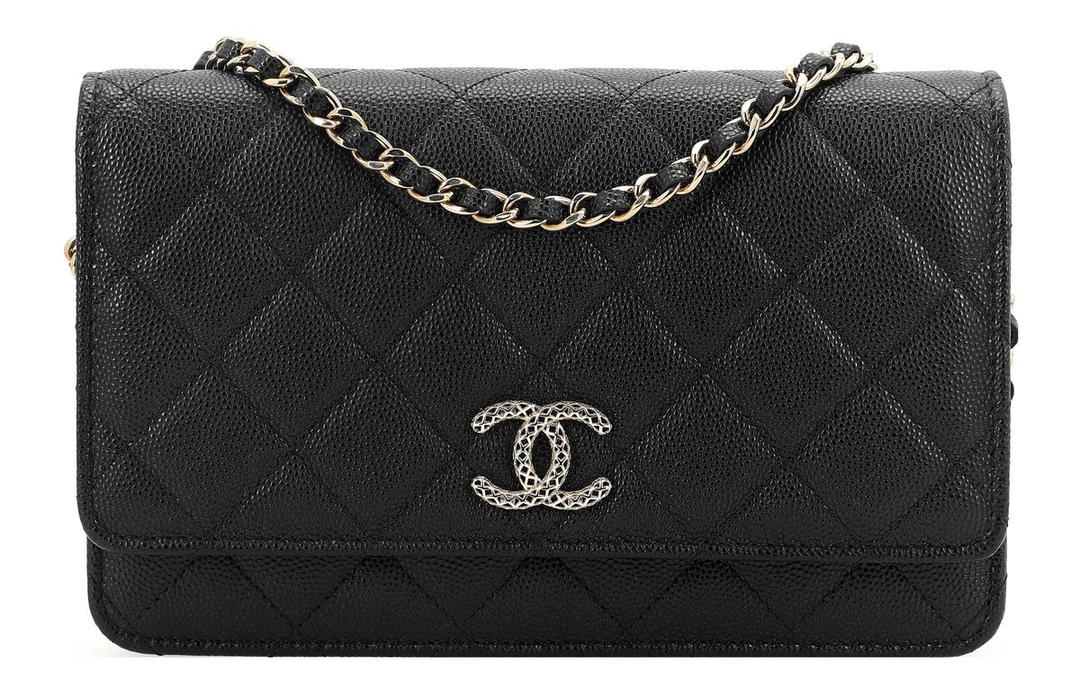 Chanel Chanel WOC Crossbody Bags