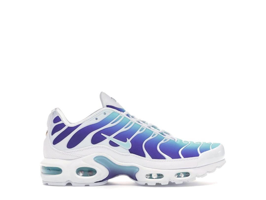 Nike Nike Air Max Plus Bleached Aqua Fierce Purple (Women's)