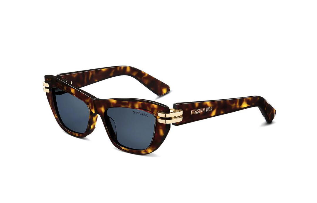 Dior Dior Butterfly Frame Sunglasses