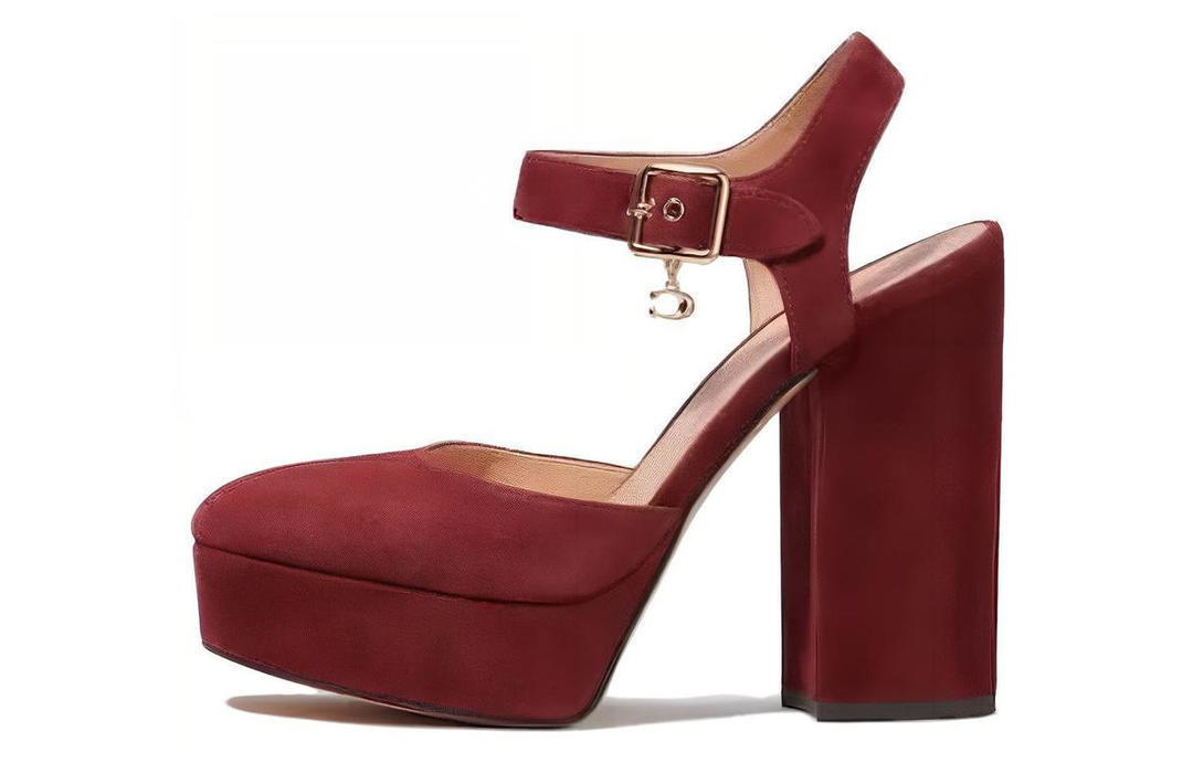 Coach Coach Chunky Heel High Heels 11.9cm Women's Wine