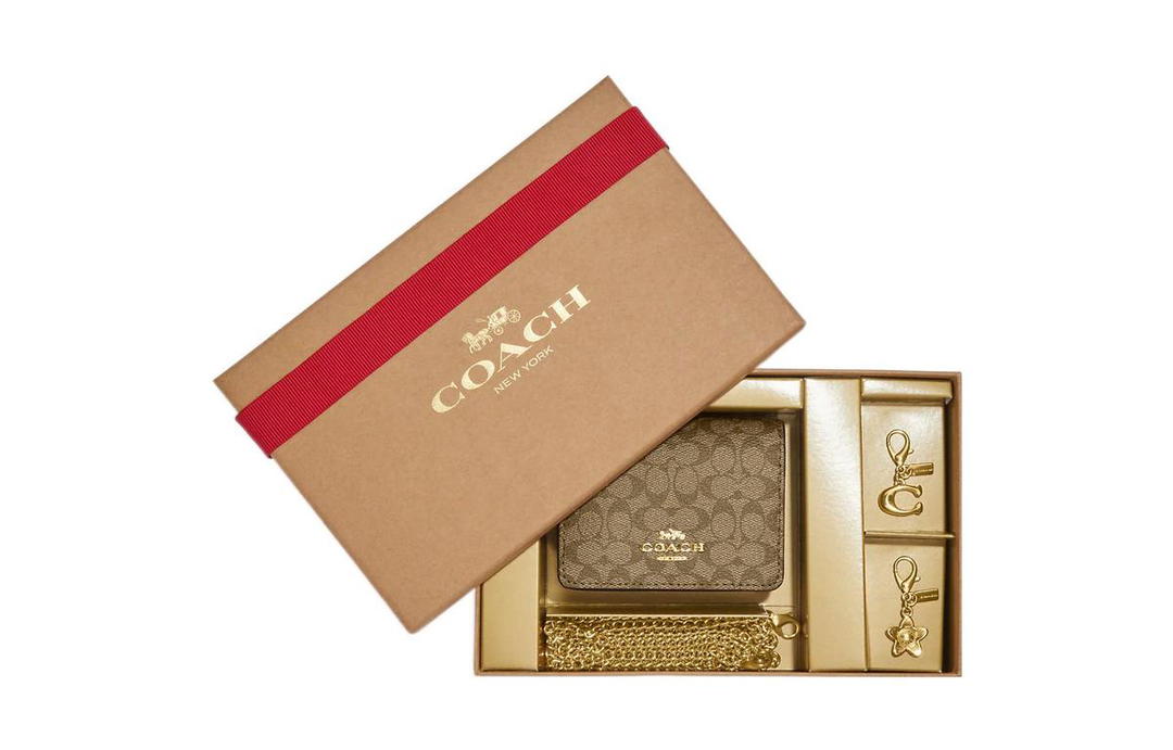 Coach Coach Canvas With Leather Chain Wallets Card Holders Mini Women's Khaki