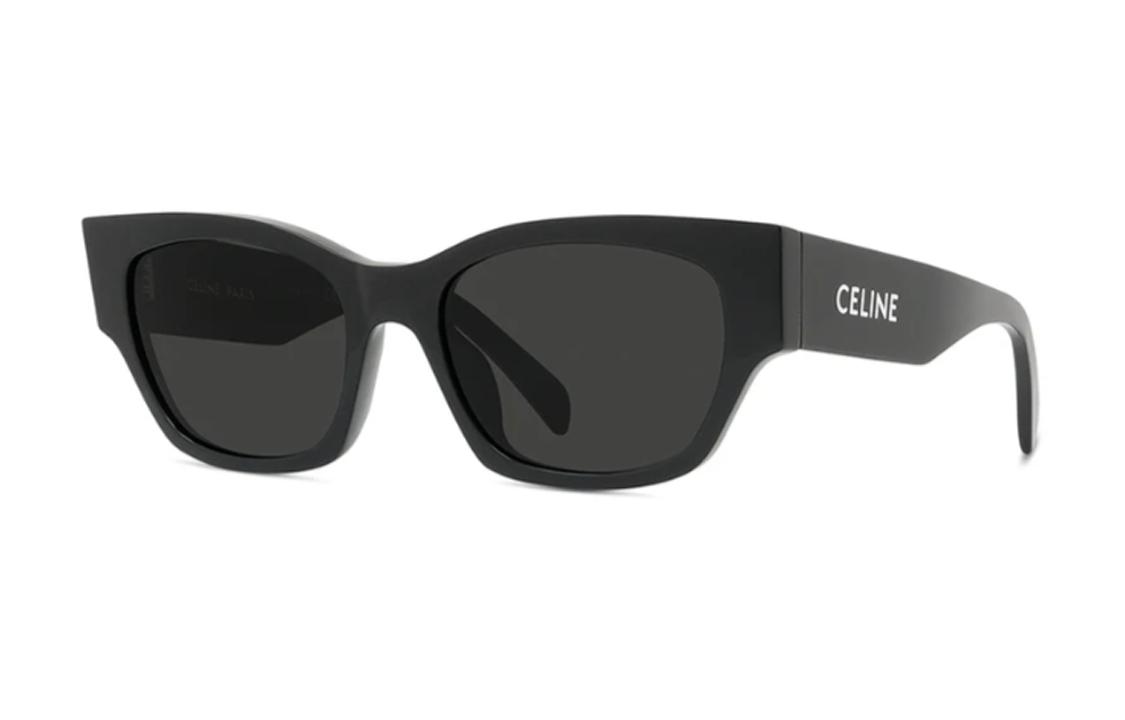 Celine Celine Monochroms 01 Sunglasses In Acetate