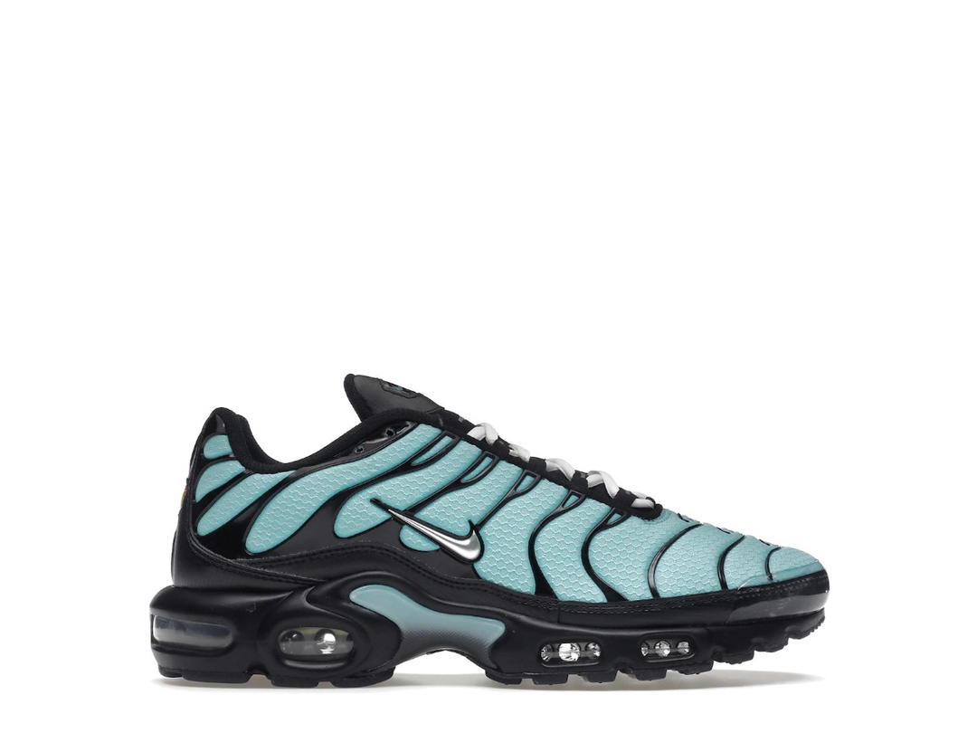Nike Nike Air Max Plus Aqua Blue