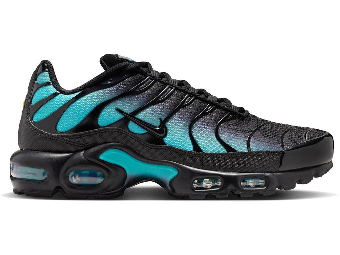 Nike Nike Air Max Plus Black Dusty Cactus