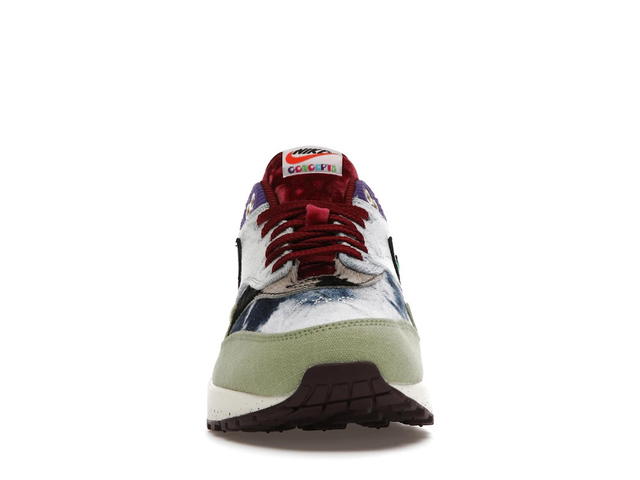 Nike Nike Air Max 1 SP Concepts Mellow - view 2